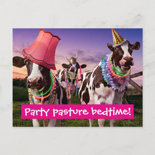 Party Til The Cows Come Home Invitation Postcard