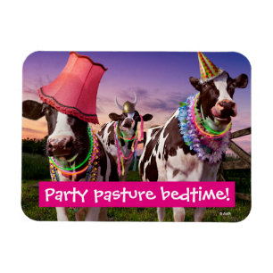 Party 'Til The Cows Come Home Magnet