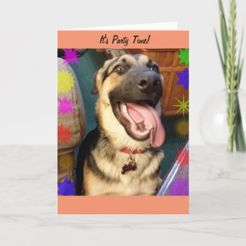 Party Time Happy Dog Birthday Card by busycrowstudio at Zazzle