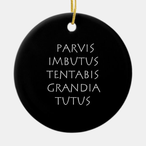 Parvis imbutus tentabis grandia tutus ceramic ornament