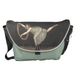 Pas-de-Shawl Dance Annette Kobler Amsterdam 1812 Messenger Bag at Zazzle