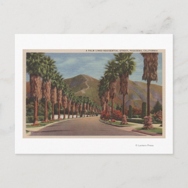 Pasadena, CA - Residental Street Scene & Palms Postcard (Front)