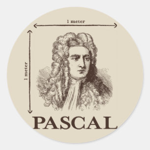 Pascal = 1 newton per square meter math joke classic round sticker