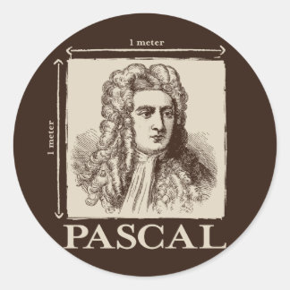 Pascal = 1 newton per square meter math joke classic round sticker