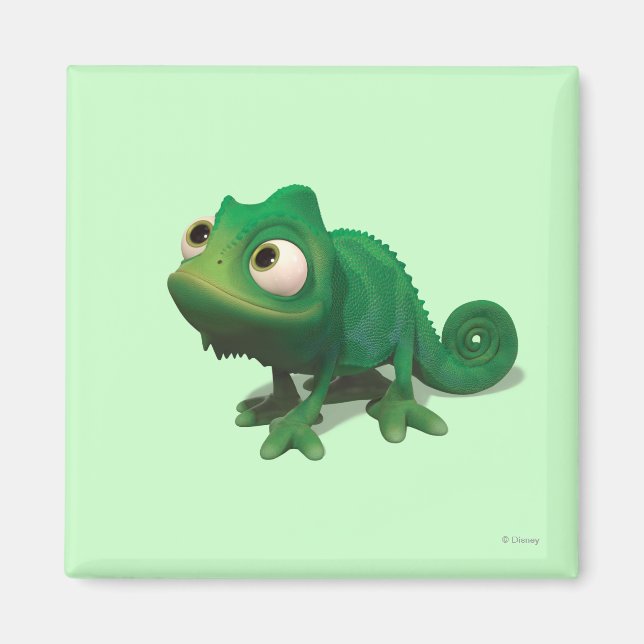 Pascal Magnet (Front)