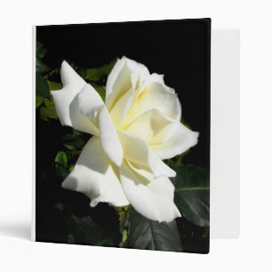 Pascali white hybrid tea rose binder