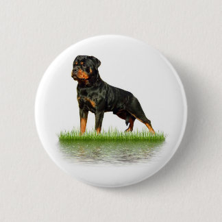 Pasha Earl Antonius Button