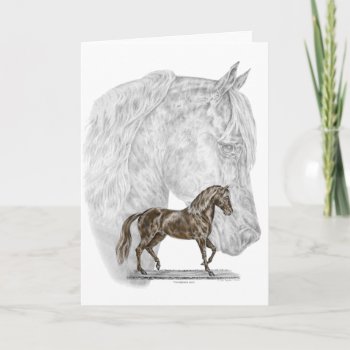 Paso Fino Horse Art Card by KelliSwan at Zazzle