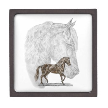 Paso Fino Horse Art Jewelry Box by KelliSwan at Zazzle