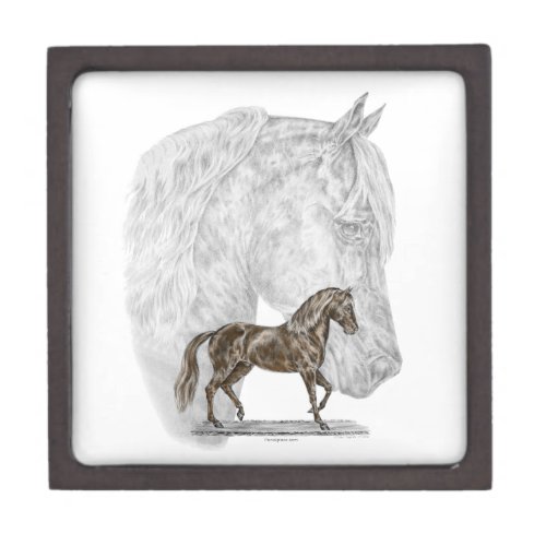 Paso Fino Horse Art Jewelry Box