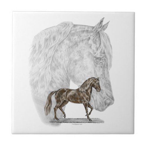 Paso Fino Horse Art Tile
