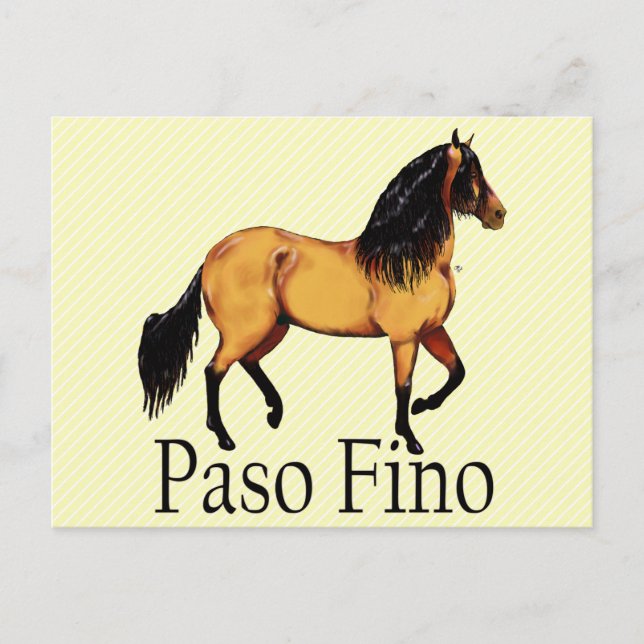 Paso Horse Buckskin Paso Fino Postcard (Front)