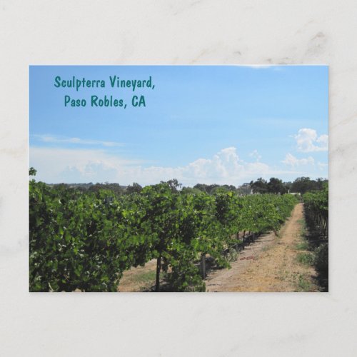Paso Robles California Wine Country Postcard