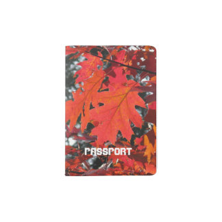 Pasport holder Past and Future