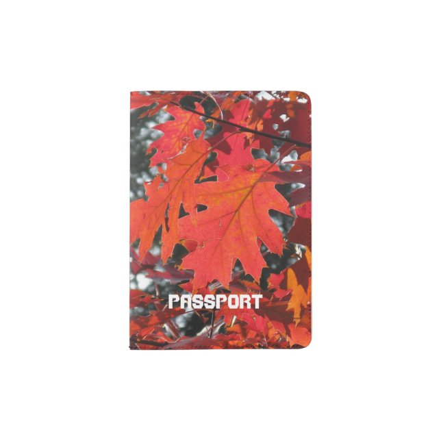 Pasport holder Past and Future (Front)