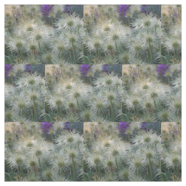 Pasque Flower Seed Heads Fabric (Swatch)