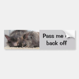 Pass Me or Back off Cat Car Bumper Sticker