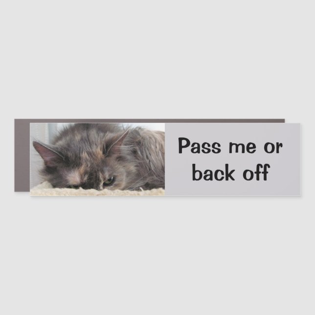 Pass Me or Back off Cat Car Magnet (Front)