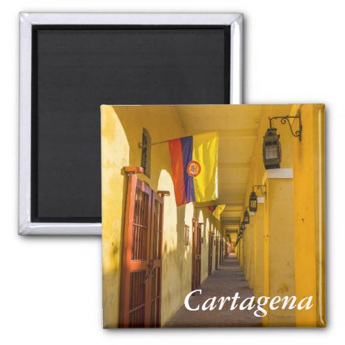 Passageway and Flags Magnet
