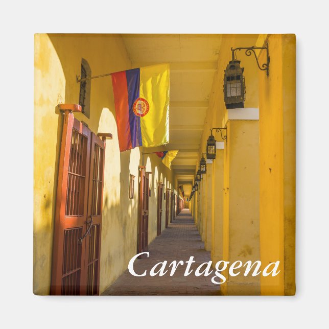 Passageway and Flags Magnet (Front)