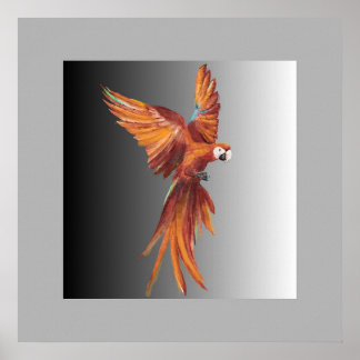 Pássaro Vermelho Poster