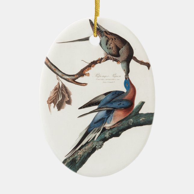 Passenger Pigeon (1838) John J. Audubon Ceramic Ornament (Front)