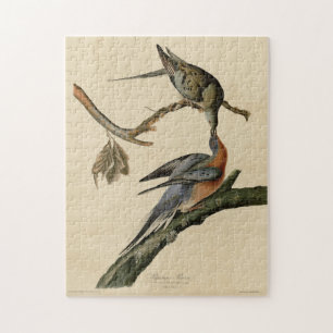 Passenger Pigeon from Audubon's Birds of America Jigsaw Puzzle