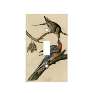 Passenger Pigeon from Audubon's Birds of America Light Switch Cover