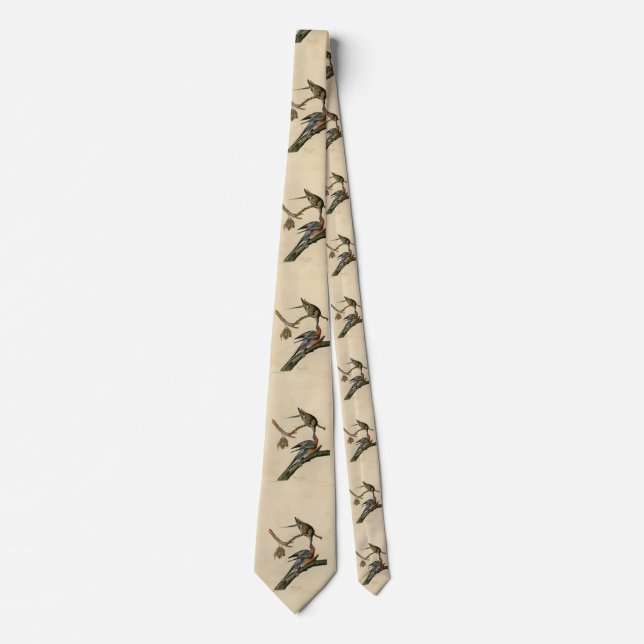 Passenger Pigeon from Audubon's Birds of America Neck Tie (Front)