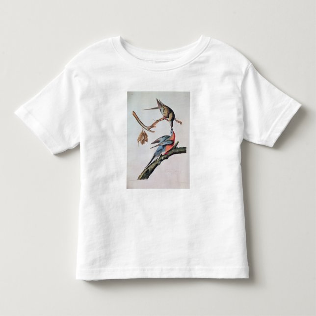 Passenger Pigeon, from 'Birds of America' Toddler T-shirt (Front)