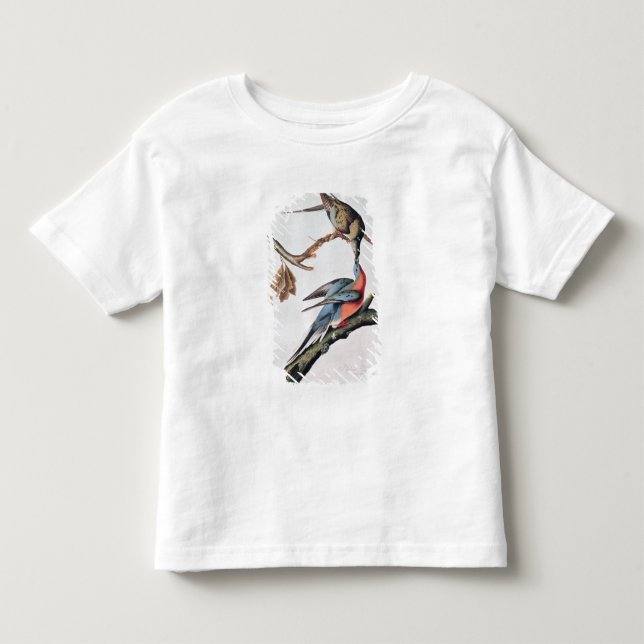 Passenger Pigeon, from 'Birds of America' Toddler T-shirt (Front)