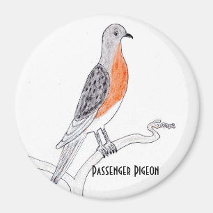 Passenger Pigeon Refrigerator Magnet