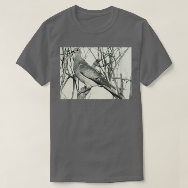 Passenger Pigeon T-Shirt (Design Front)