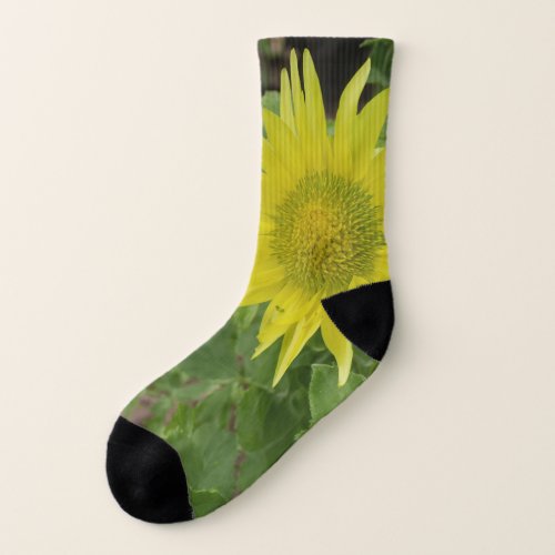 Passflora socks 