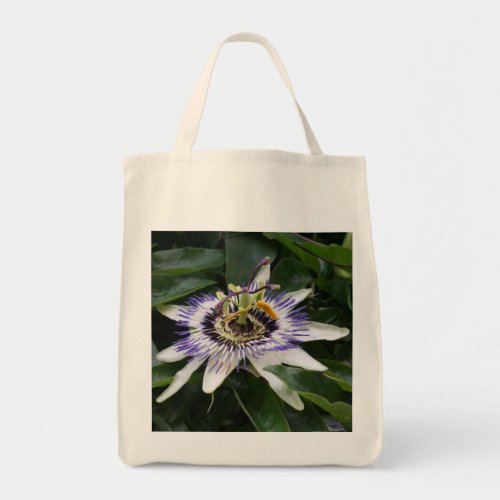 Passiflora 1 Floral Photography grocery bag