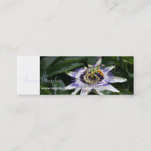 Passiflora 1 Floral Photography Mini Business Crad Mini Business Card