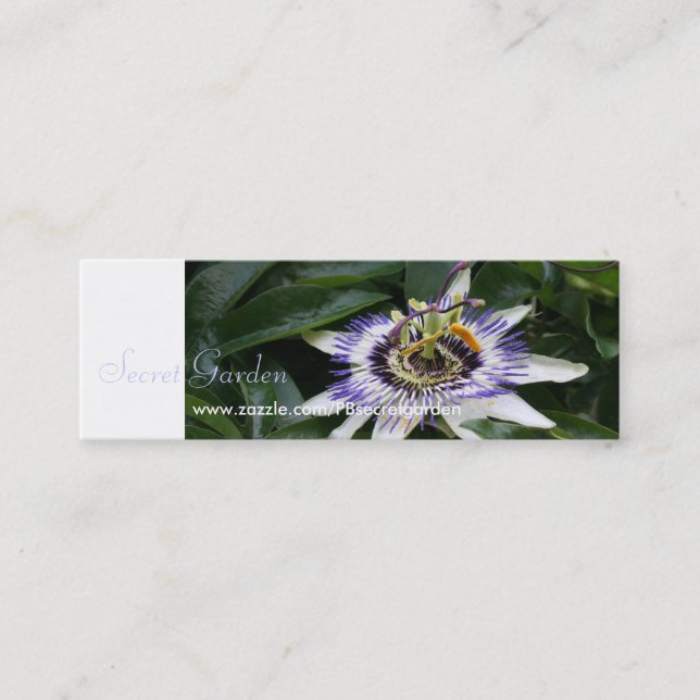 Passiflora 1 Floral Photography Mini Business Crad Mini Business Card (Front)