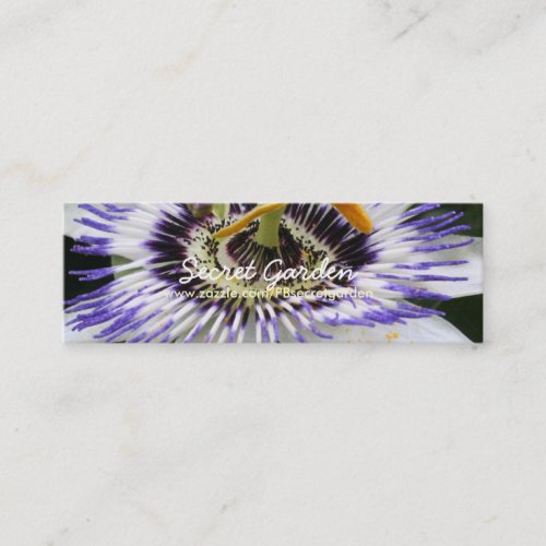 Passiflora 3 Floral Photography Mini Business Card