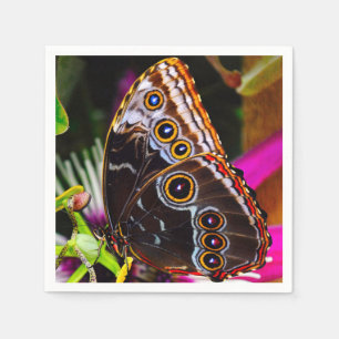 Passiflora VIOLACEA and a Blue morpho butterfly Napkins