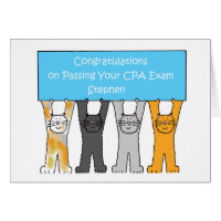 Passing CPA Exam Stephen, Personalised.