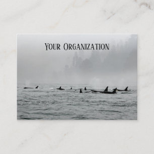 Passing Whales Business Card