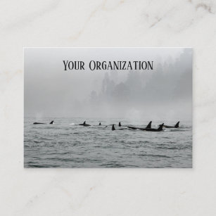 Passing Whales Business Card