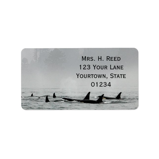 Passing Whales Return Address Label (Front)