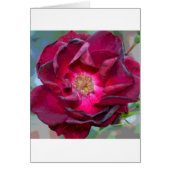 Passion Burgandy Flower (Front)