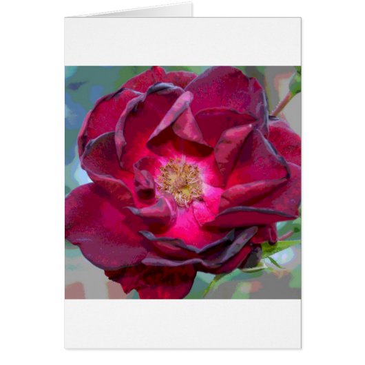 Passion Burgandy Flower Cards (Front)