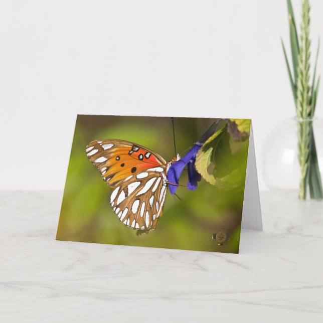 Passion Butterfly Embrace Lee Hiller Photography Card (Front)