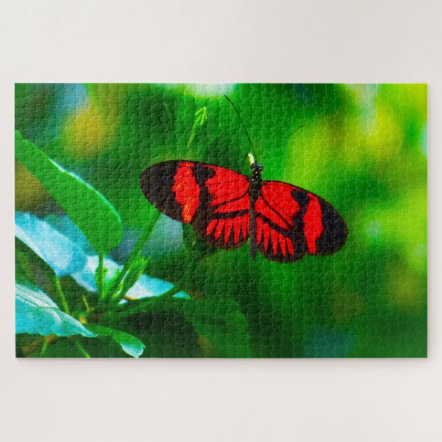 Passion Butterfly. Jigsaw Puzzle (Horizontal)
