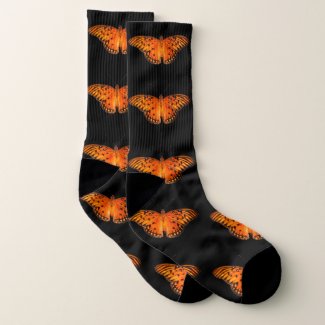 Passion butterfly on dark