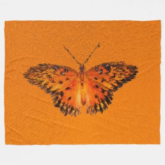 Passion butterfly on orange background
