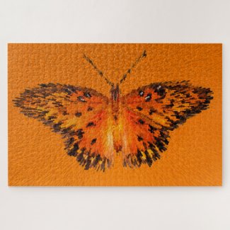 Passion butterfly wings on orange